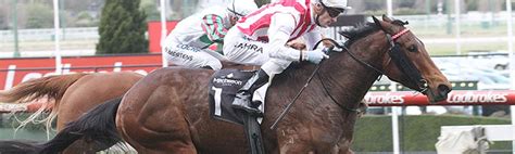 The Everest Horse Profile: Two.